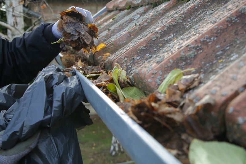 Clean Gutters with Debris