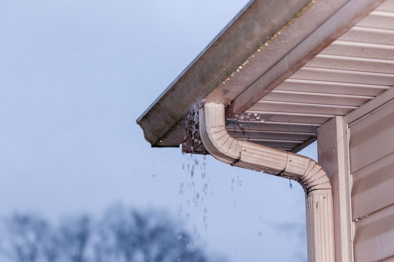 Gutter Extension Service