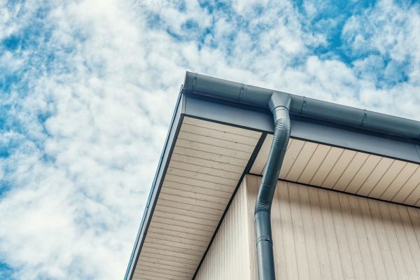 Gutter Fascia Repair in Galena